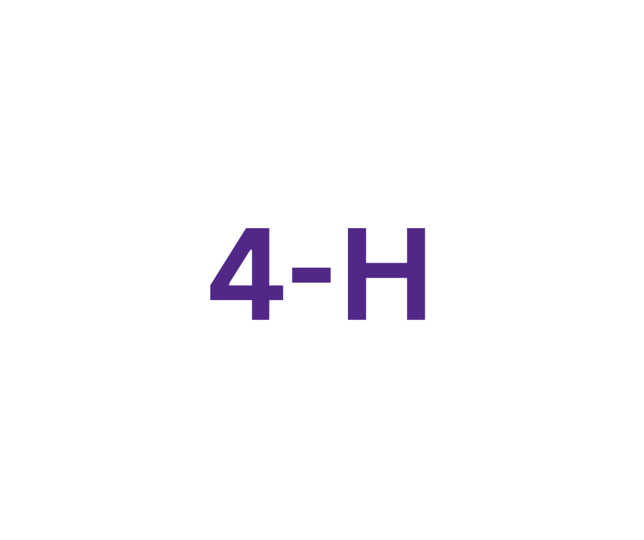 4-H