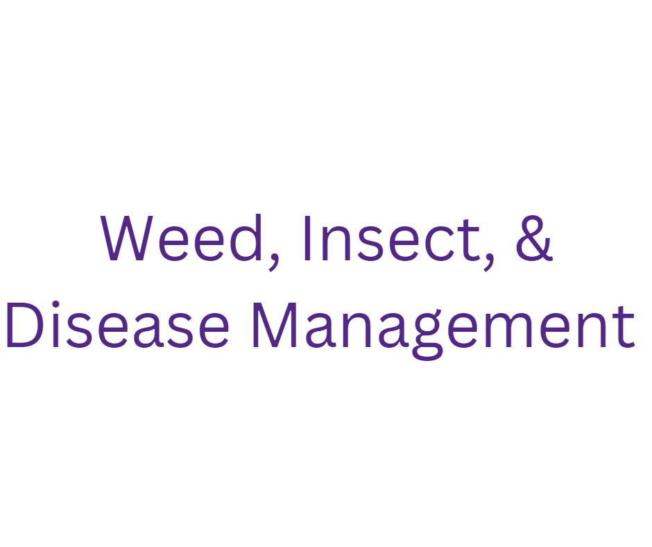 Weed, Insect, & Disease Management