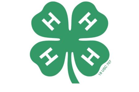 4-H logo, Green Clover with 4 white h's 