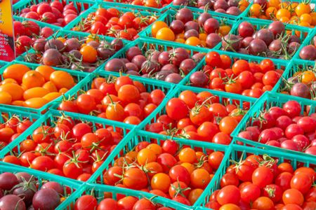 Bunches of Cherry Tomoatoes