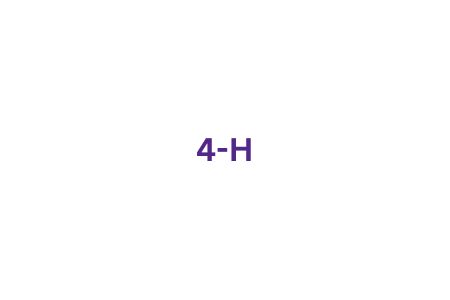 4-H